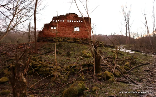 Satul Stăuini, Hunedoara, decembrie 2023 Foto Daniel Guță ADEVĂRUL (40) JPG