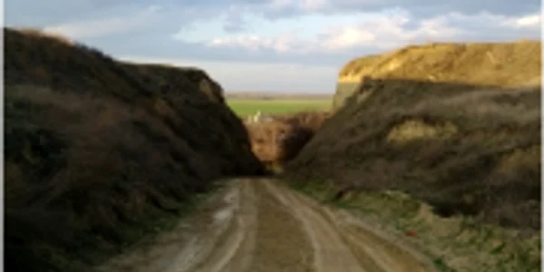 mediu rural 