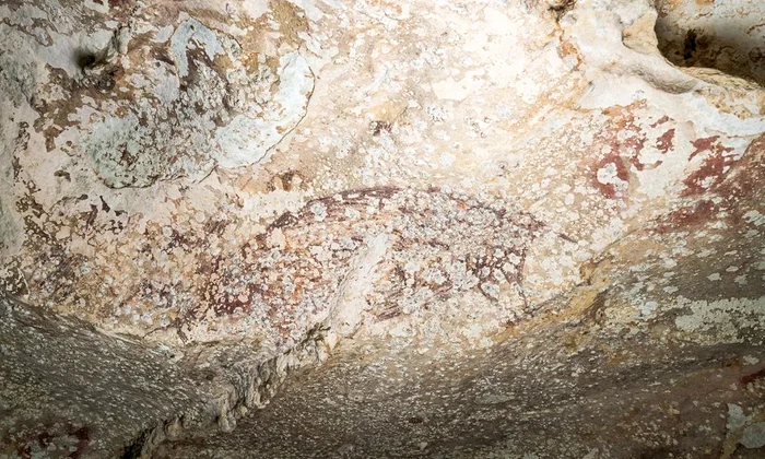 Cea mai veche pictură rupestră din lume, descoperită într-o peșteră din Indonezia (© Dominic Julian / BRIN Google Arts)