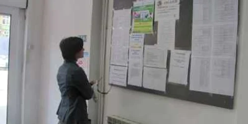 Primăria scoate la concurs două posturi de inspectori