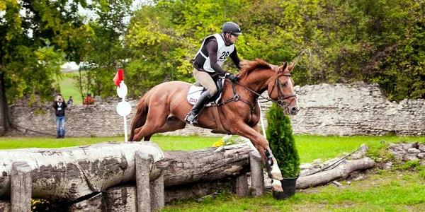 KARPATIA HORSE SHOW 2017 Trei zile de competiţie pe Domeniul Cantacuzino de la Floreşti