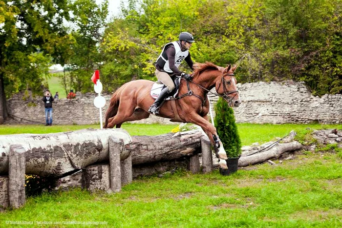 KARPATIA HORSE SHOW 2017 Trei zile de competiţie pe Domeniul Cantacuzino de la Floreşti