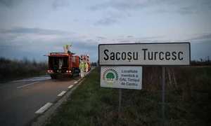 sacosu turcesc jpeg