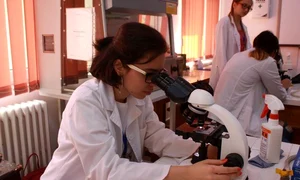 6492df34 aa3f 41ae a208 ed2cdfb414e6 jpeg