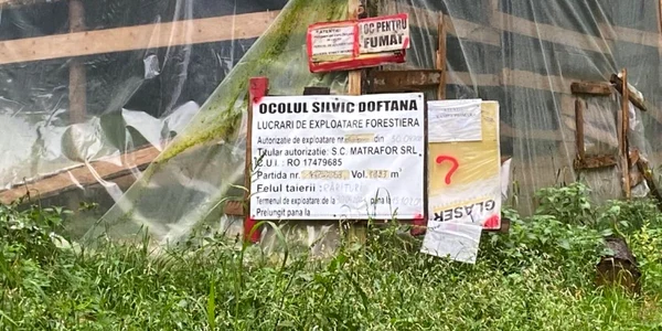 valea doftanei