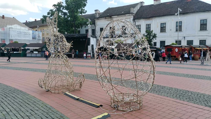 Timișoara, orașul florilor FOTO Ștefan Both