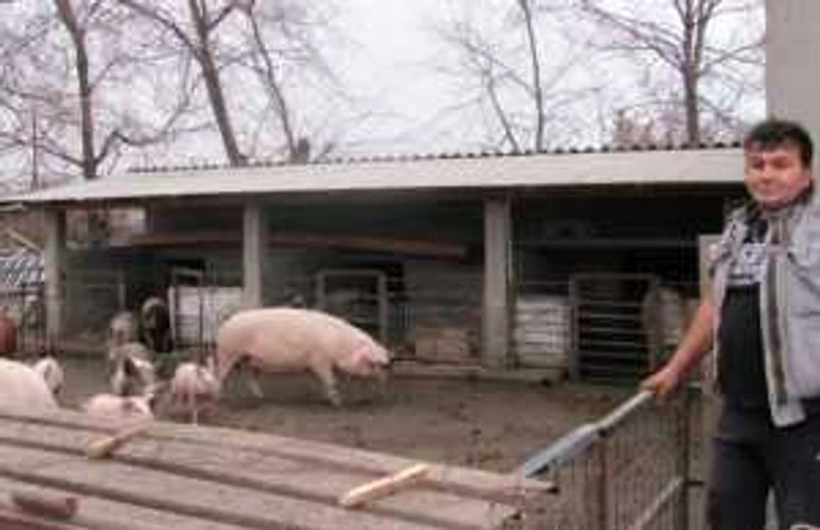 Craiova: Patronul ne arată câteva dintre animalele din ferma sa. 