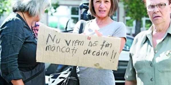 protest maidanezi