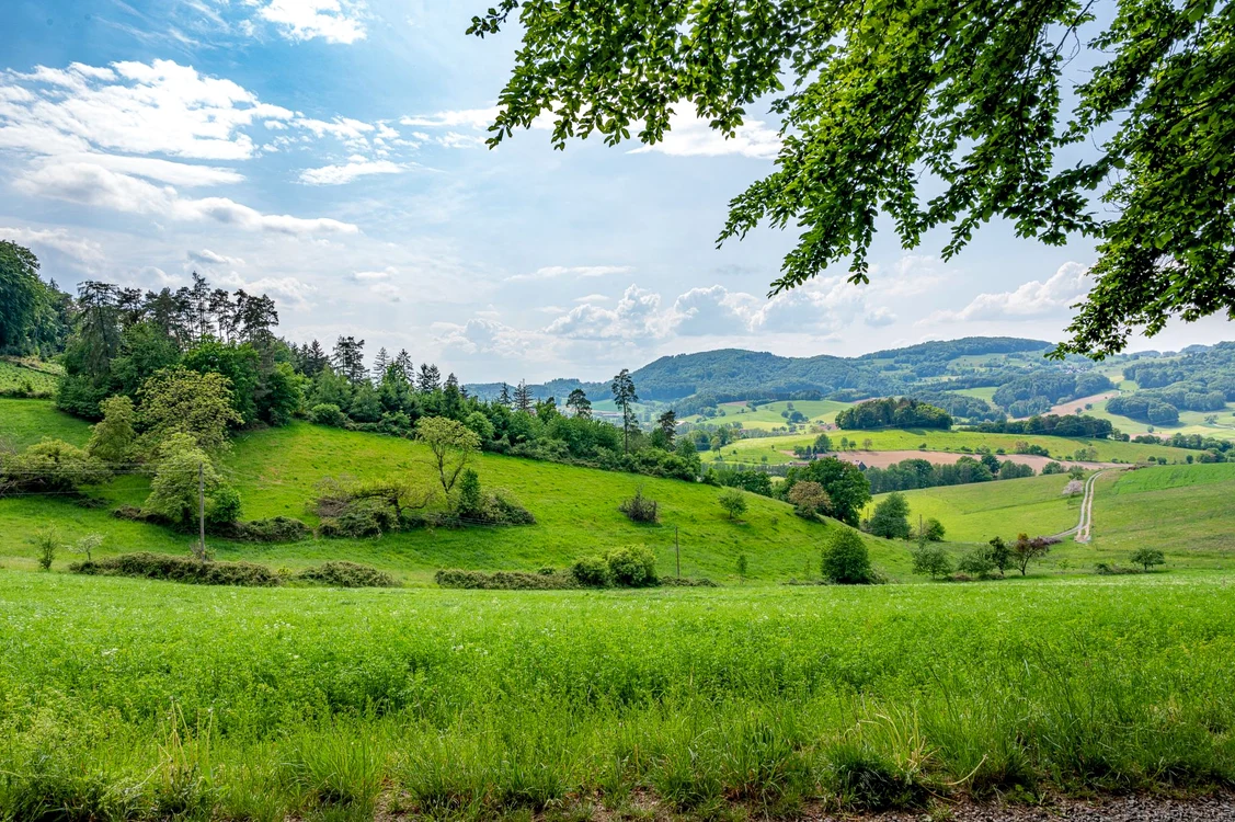Locul de vis din România / Foto: Freepik