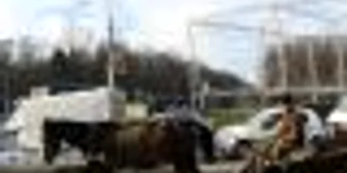 Căruţaşul s-a ales cu dosar penal