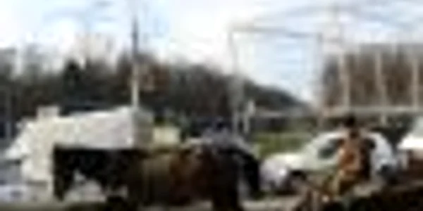 Căruţaşul s-a ales cu dosar penal