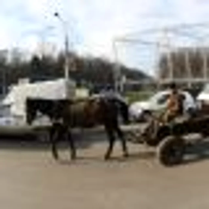 Căruţaşul s-a ales cu dosar penal