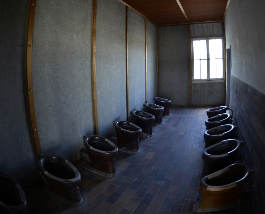 
    Mai mulți băieți ar fi întreținut relații sexuale cu o adolescentă de 15 ani, în toaleta școliifoto: Hepta  
