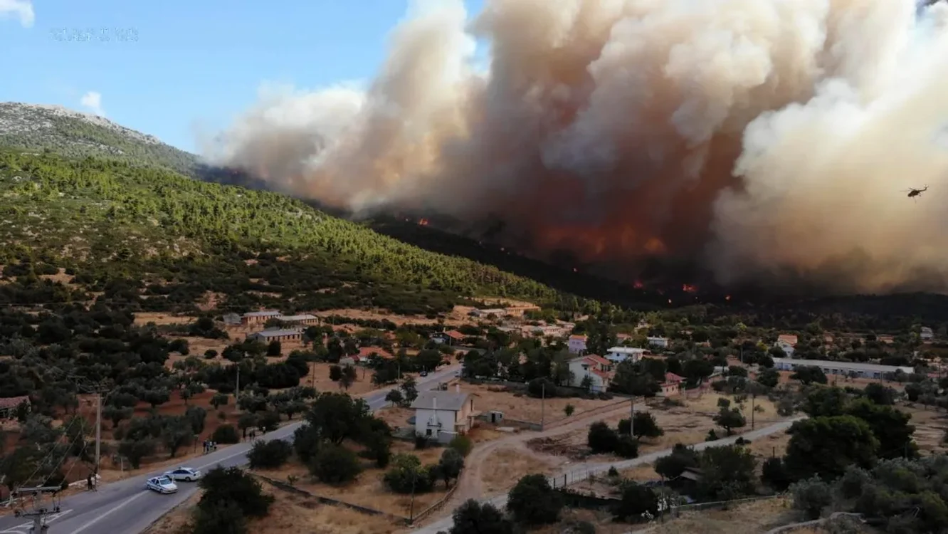 Incendiu de vegetație. Foto: IGSU