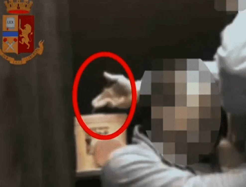 Foto Captură Video