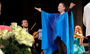 cub felicia filip png