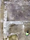 vila romana langa roma jpg