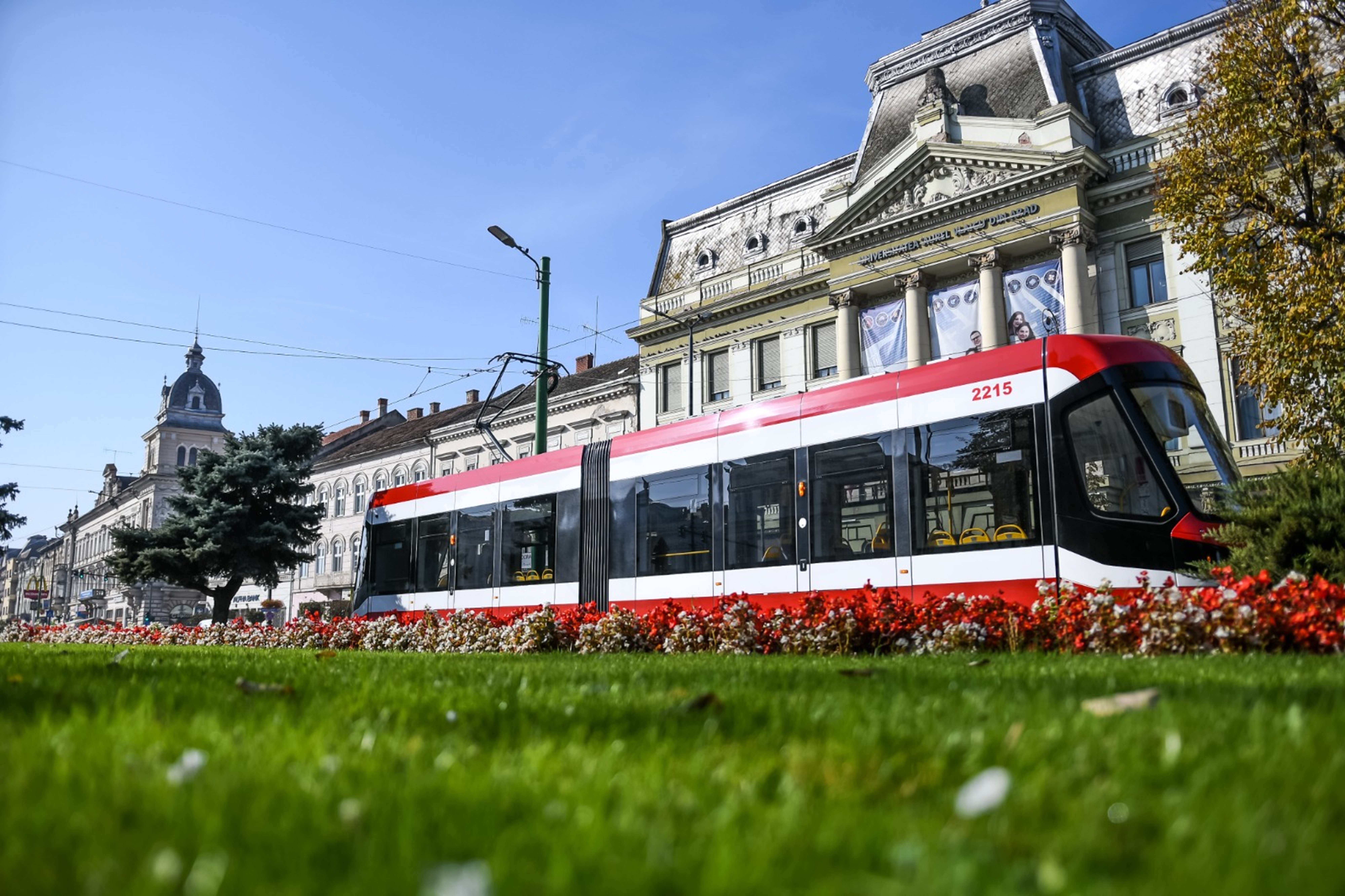 tramvai arad  jpg