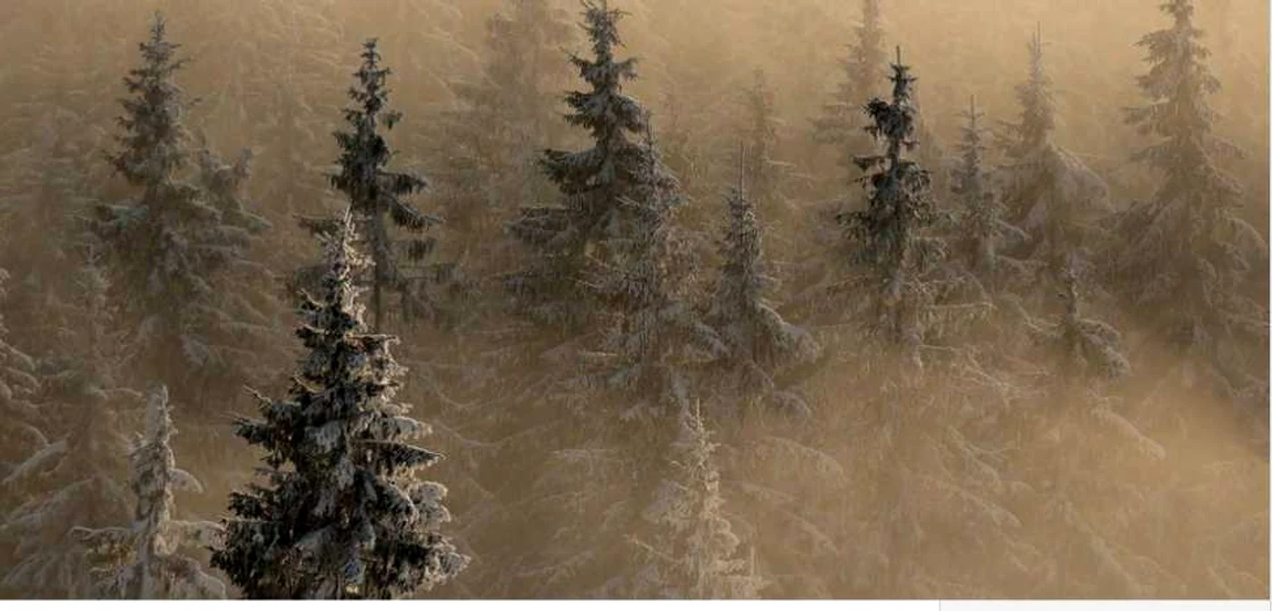 Ovidiu Lazăr a surprins peisajul în Munţii Rodnei FOTO: yourshot.nationalgeographic.com