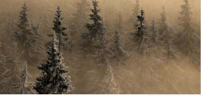 Ovidiu Lazăr a surprins peisajul în Munţii Rodnei FOTO: yourshot.nationalgeographic.com