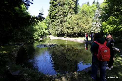 Parcul dendrologic Simeria Foto Daniel Guță ADEVĂRUL (35) JPG