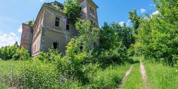 nalati foto lucian ignat
