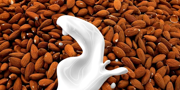 lapte vegetal jpg