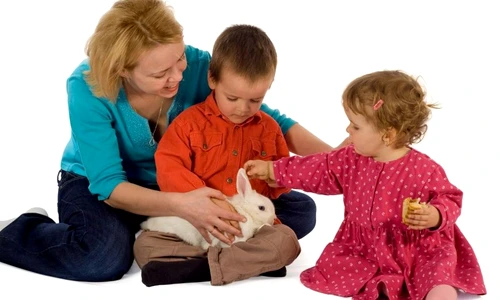 1 46511 original jpg jpeg