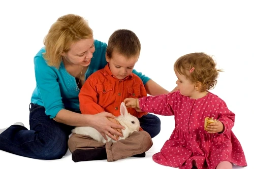 1 46511 original jpg jpeg