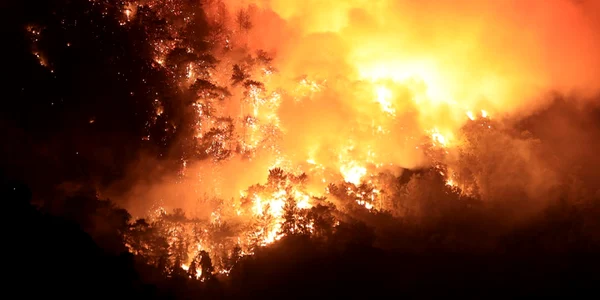 Incendiu de vegetatie in Marmaris FOTO EPA-EFE