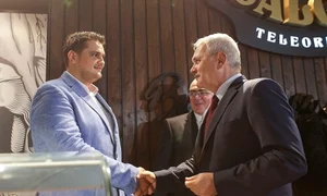 stefan valentin dragnea liviu dragnea octav ganea jpeg