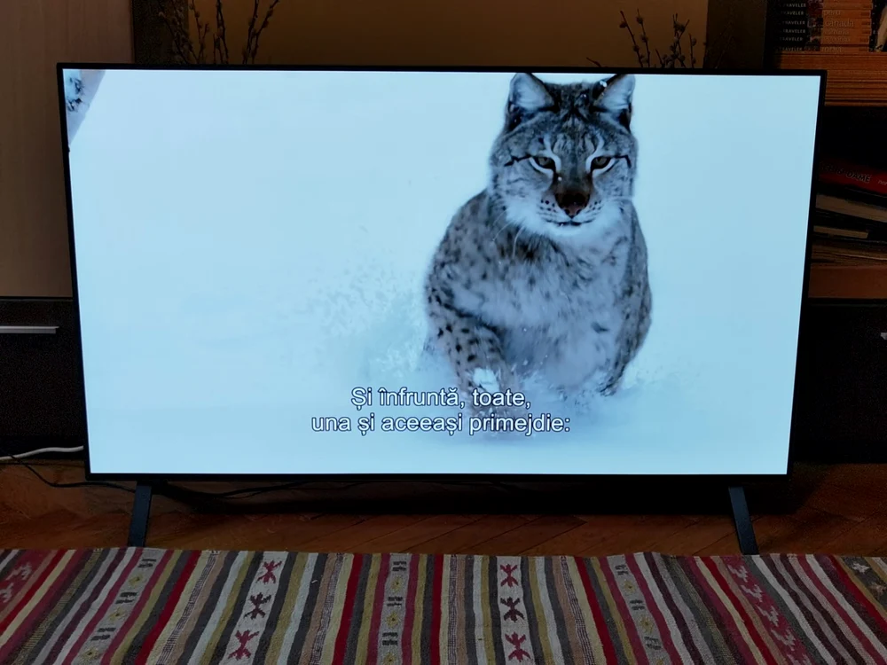 Televizor LG OLED 48A1