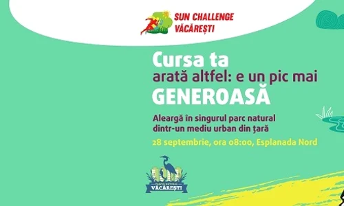 1 sun challenge jpg jpeg