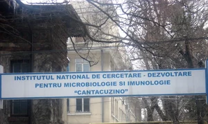 cantacuzino jpeg