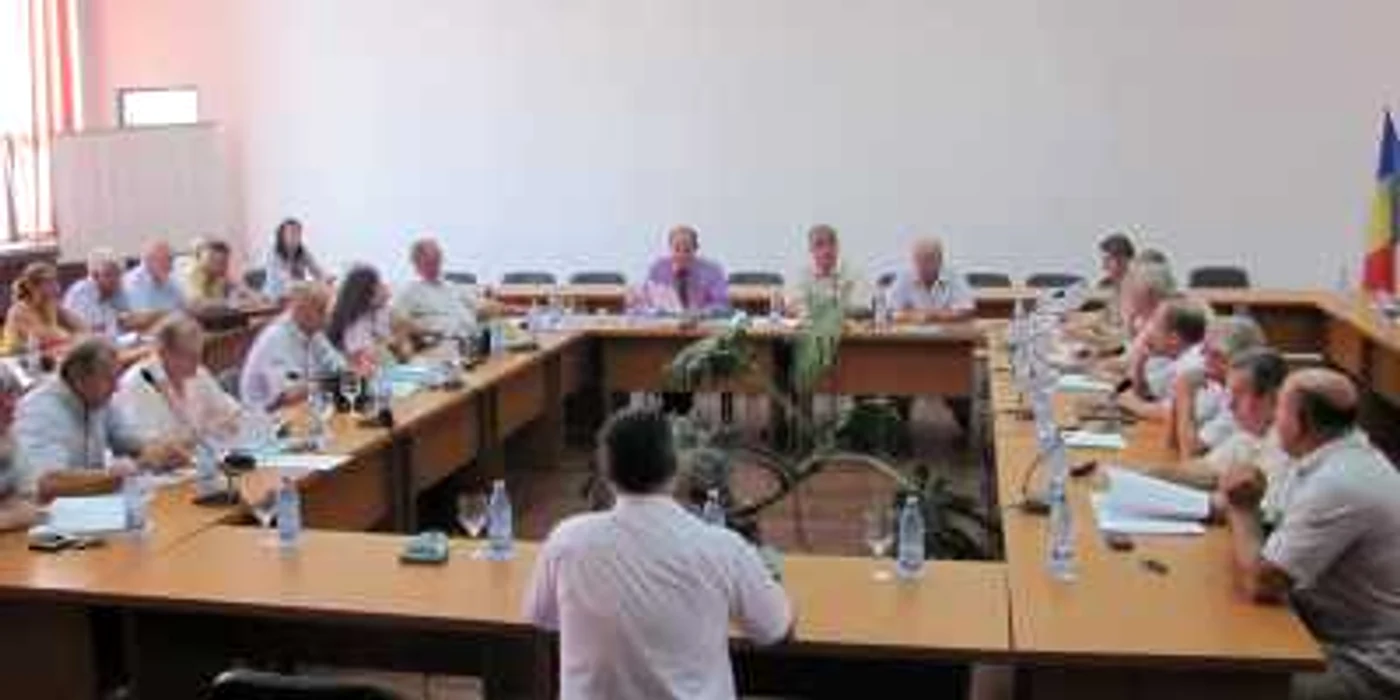 Indemnizaţia unui consilier local este de 500 de lei pe lună