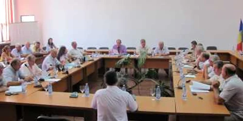 Indemnizaţia unui consilier local este de 500 de lei pe lună