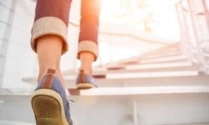 scari adobestock jpg