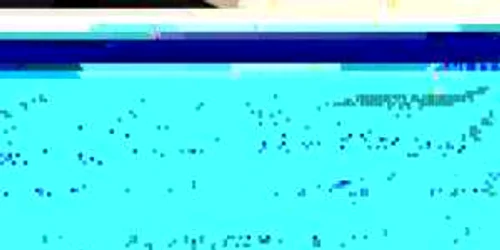 Ţigările confiscate valorează pe piaţa neagră 9400 de lei