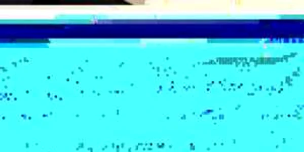 Ţigările confiscate valorează pe piaţa neagră 9400 de lei