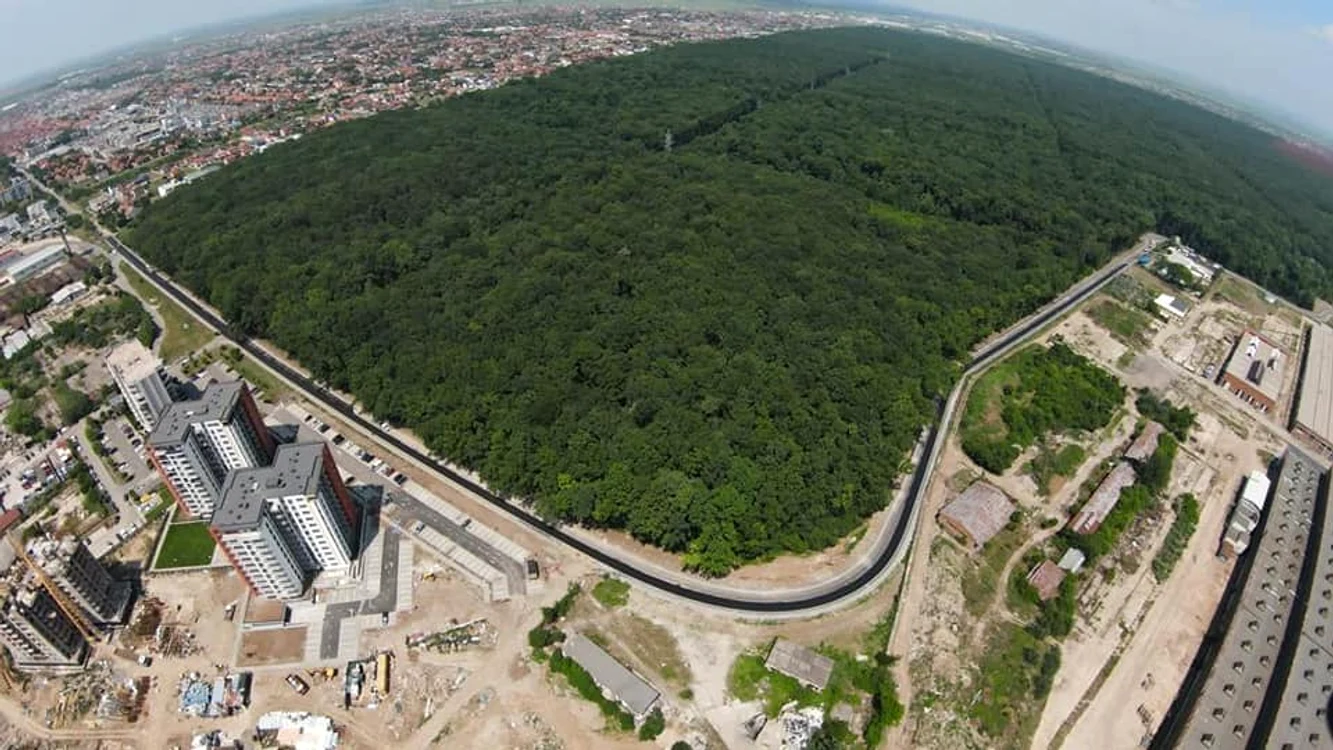 Pădurea Verde de la marginea Timișoarei FOTO Facebook/Dominic Fritz