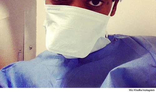 0221 wiz inset 2 jpeg