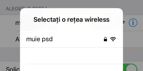 muie psd tribunal luju.ro
