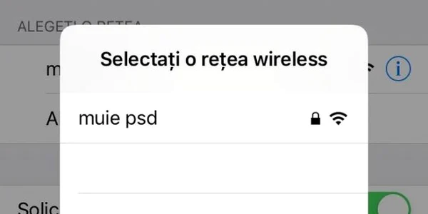 muie psd tribunal luju.ro