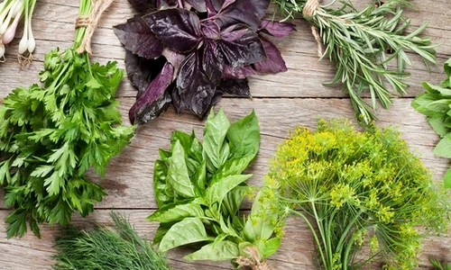 1 80959 original jpg jpeg