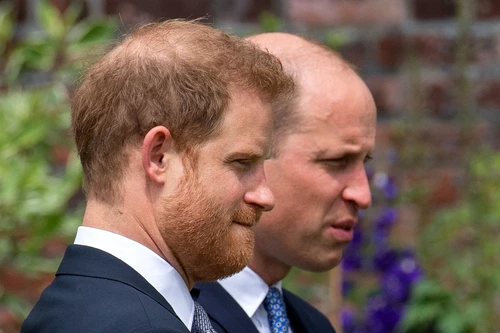 2 will si harry jpg jpeg
