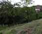 Satul Tomnatec din Hunedoara Foto Daniel Guță ADEVĂRUL (11) JPG