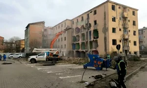 turturica jpg