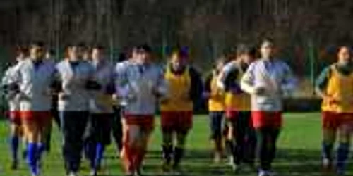 Imagine de la încălzirea "stejarilor" 