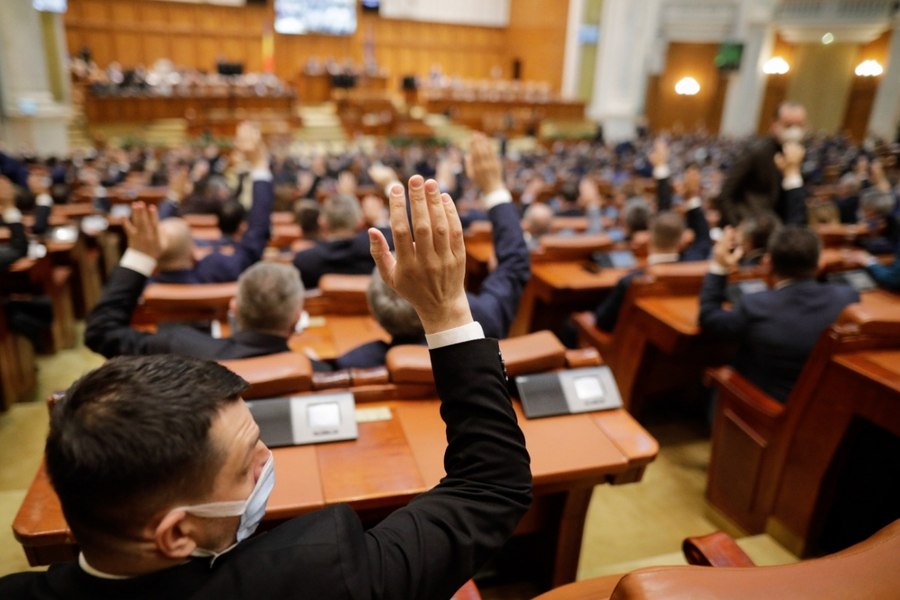 Presiuni ale societății civile asupra Parlamentului pentru interzicerea creșterii și eutanasierii nurcilor și șinșilelor