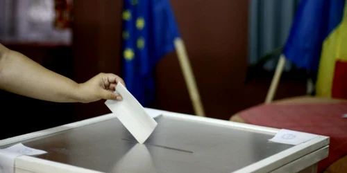 Imagine din timpul campaniei. FOTO